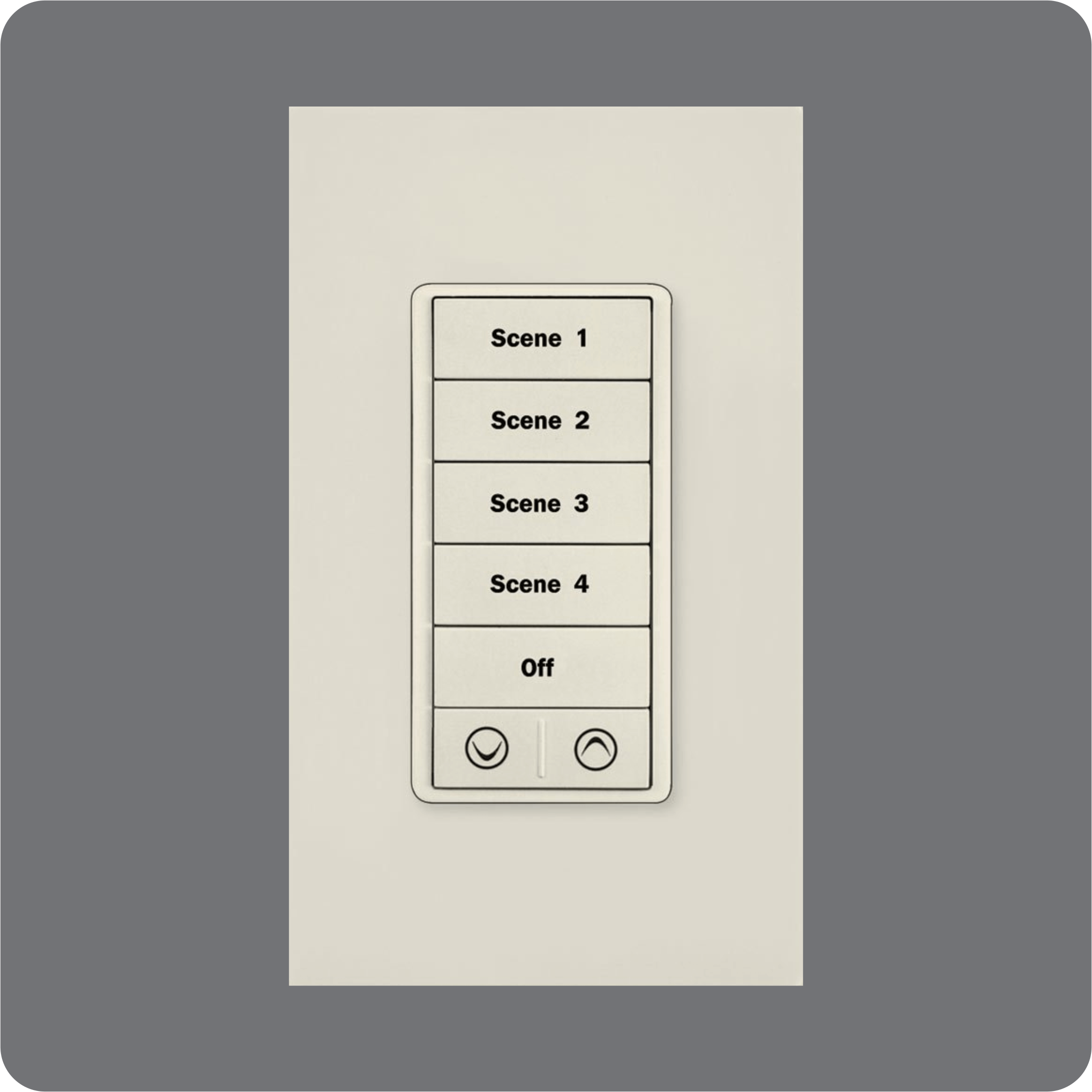 Laser Engraved Light Almond Buttons on Display