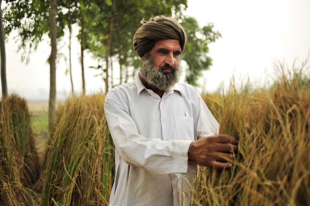 Photo: Neil Palmer/CIAT